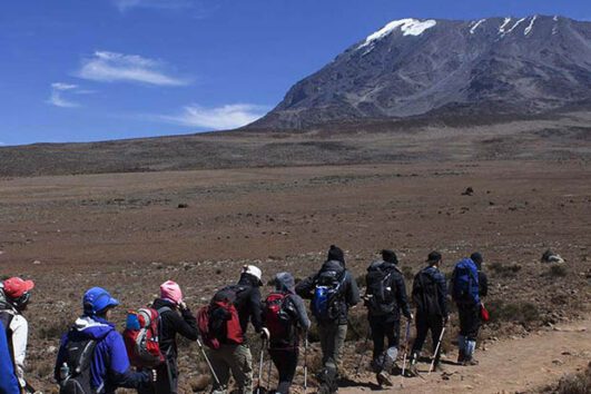 Umbwe Route via Barafu Camp